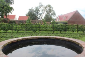 Mount Vernon Gardens