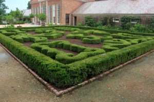 Mount Vernon Gardens
