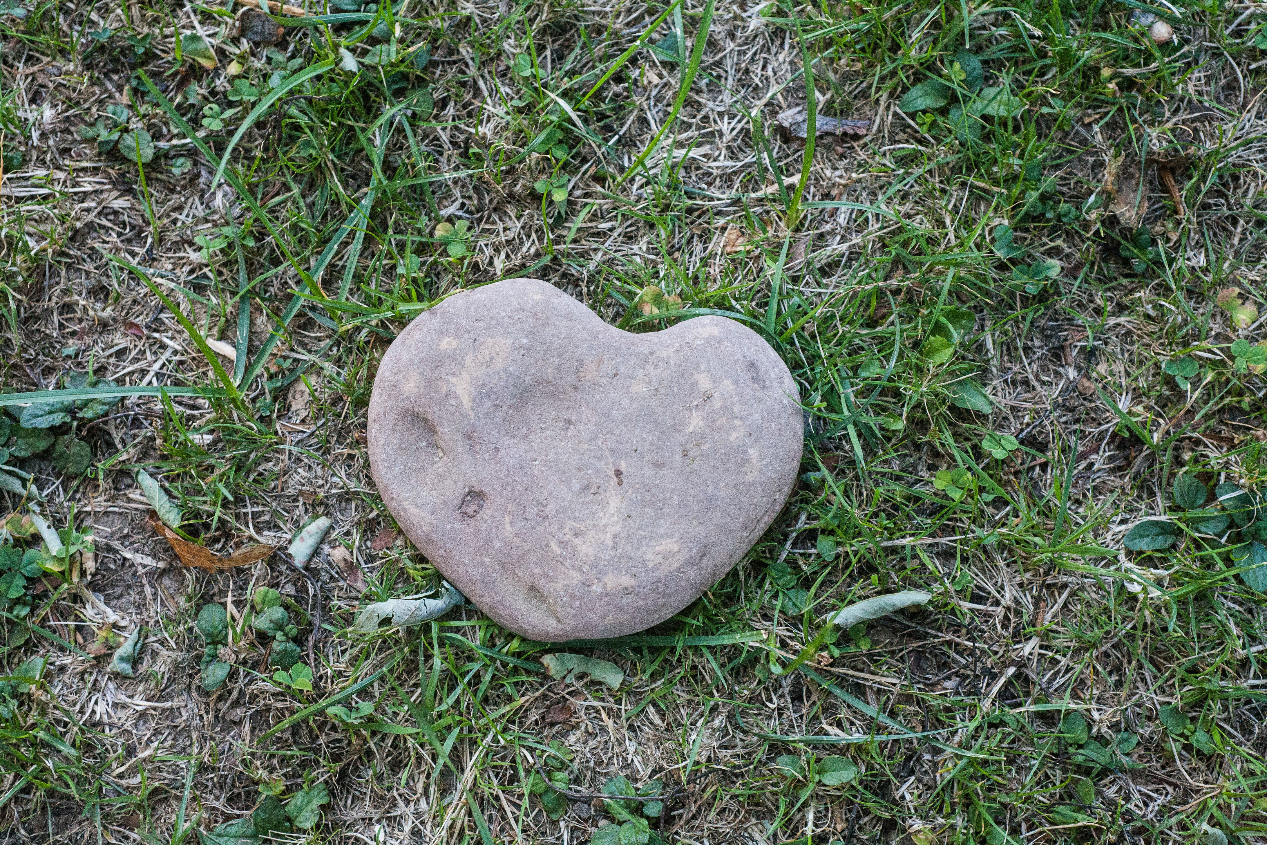A Rock That Shows Love