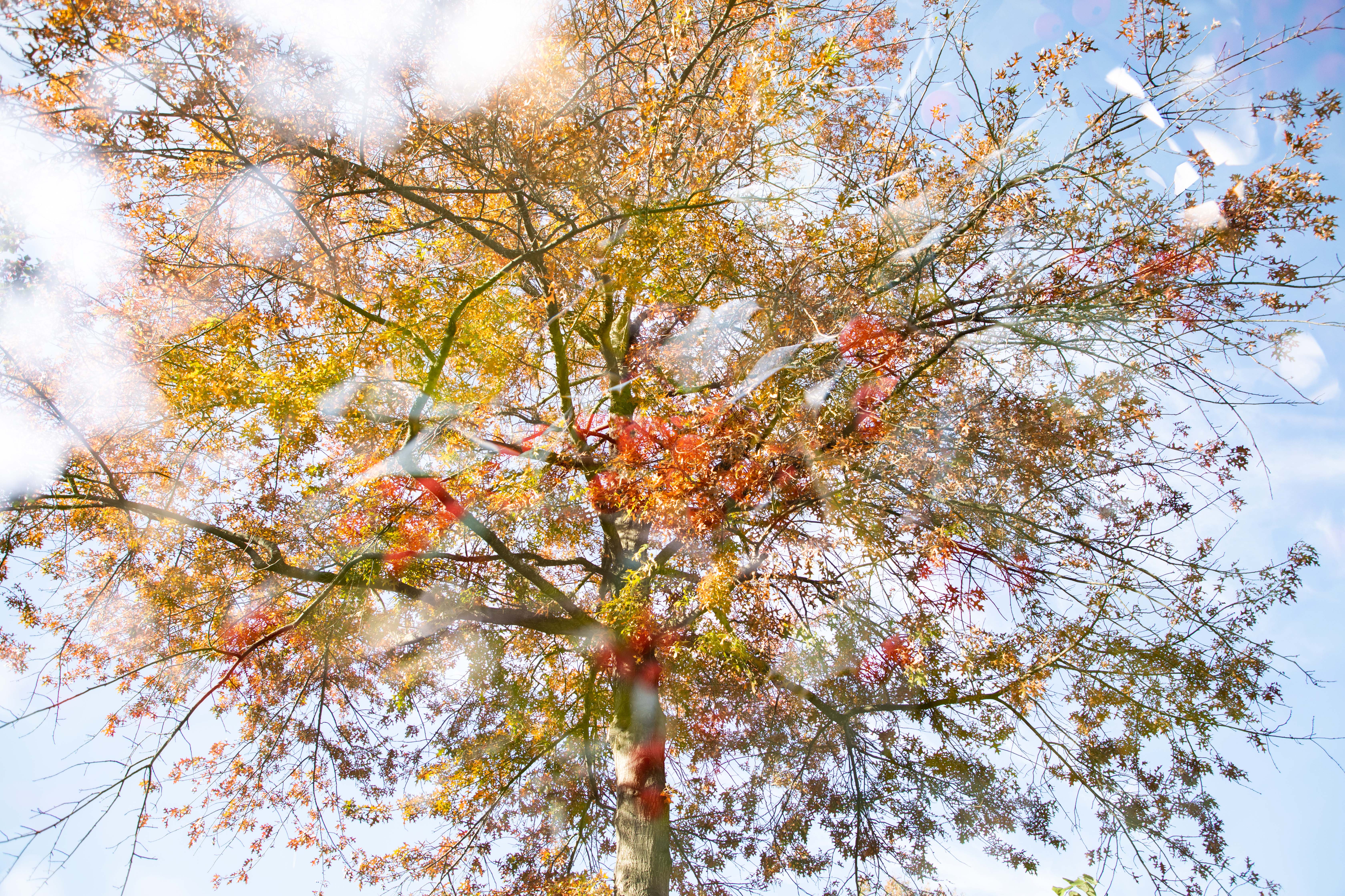 Multi-Glare Exposure